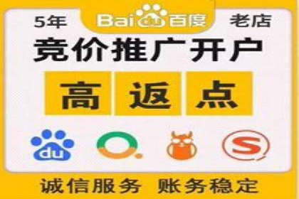 深度报告：专业SEM托管在各行业的成功应用